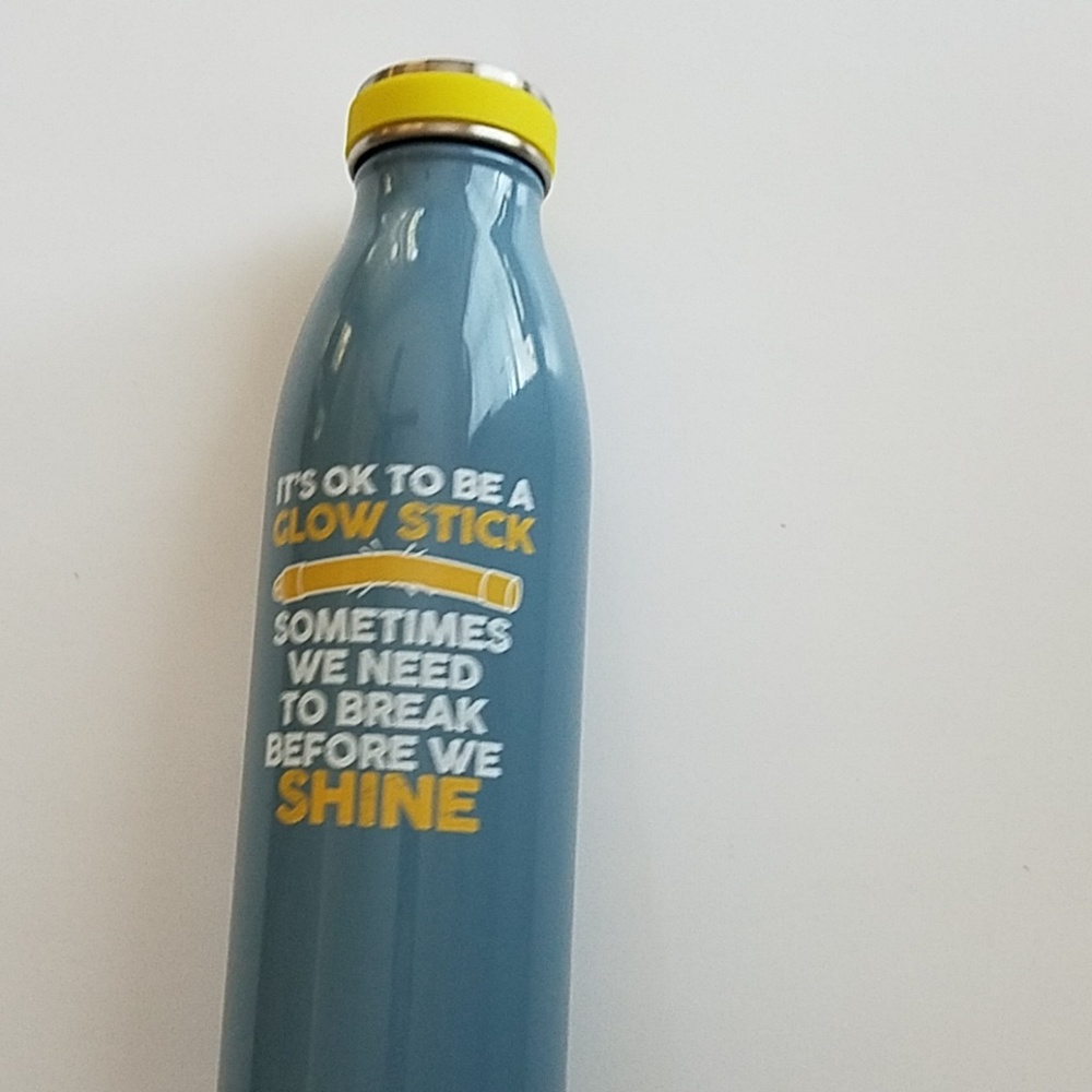 Disruptive Drinkware Stainless Steel Water…